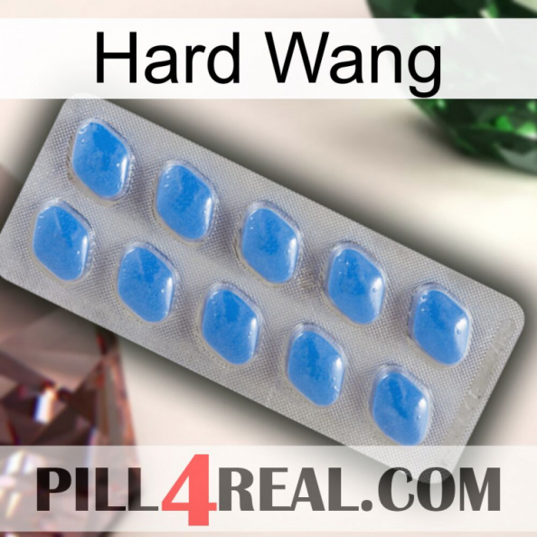 Hard Wang 22.jpg